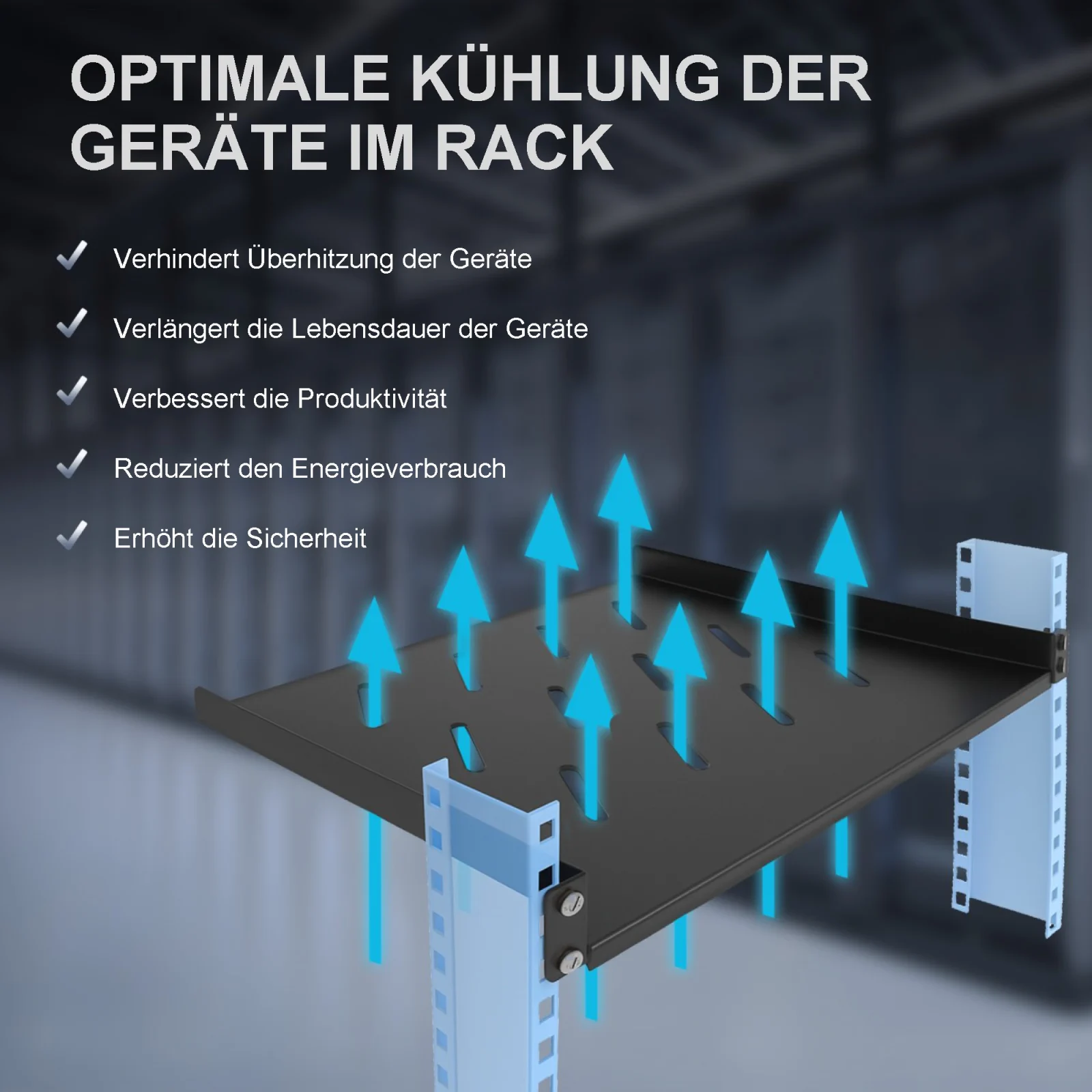Extralink 1U 300mm Schwarz | Regal | 19