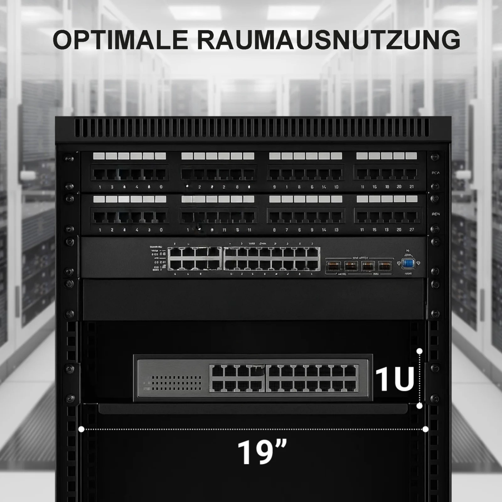 Extralink 1U 300mm Schwarz | Regal | 19