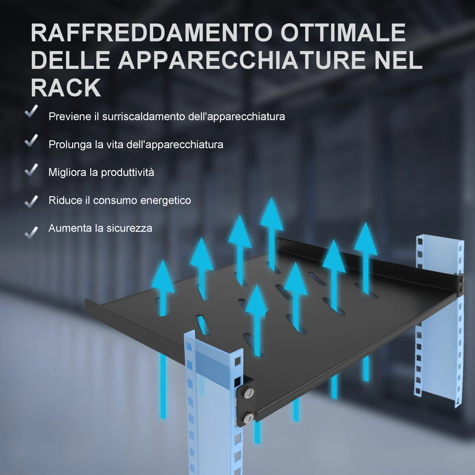 Extralink 1U 300mm Nero | scaffale | 19