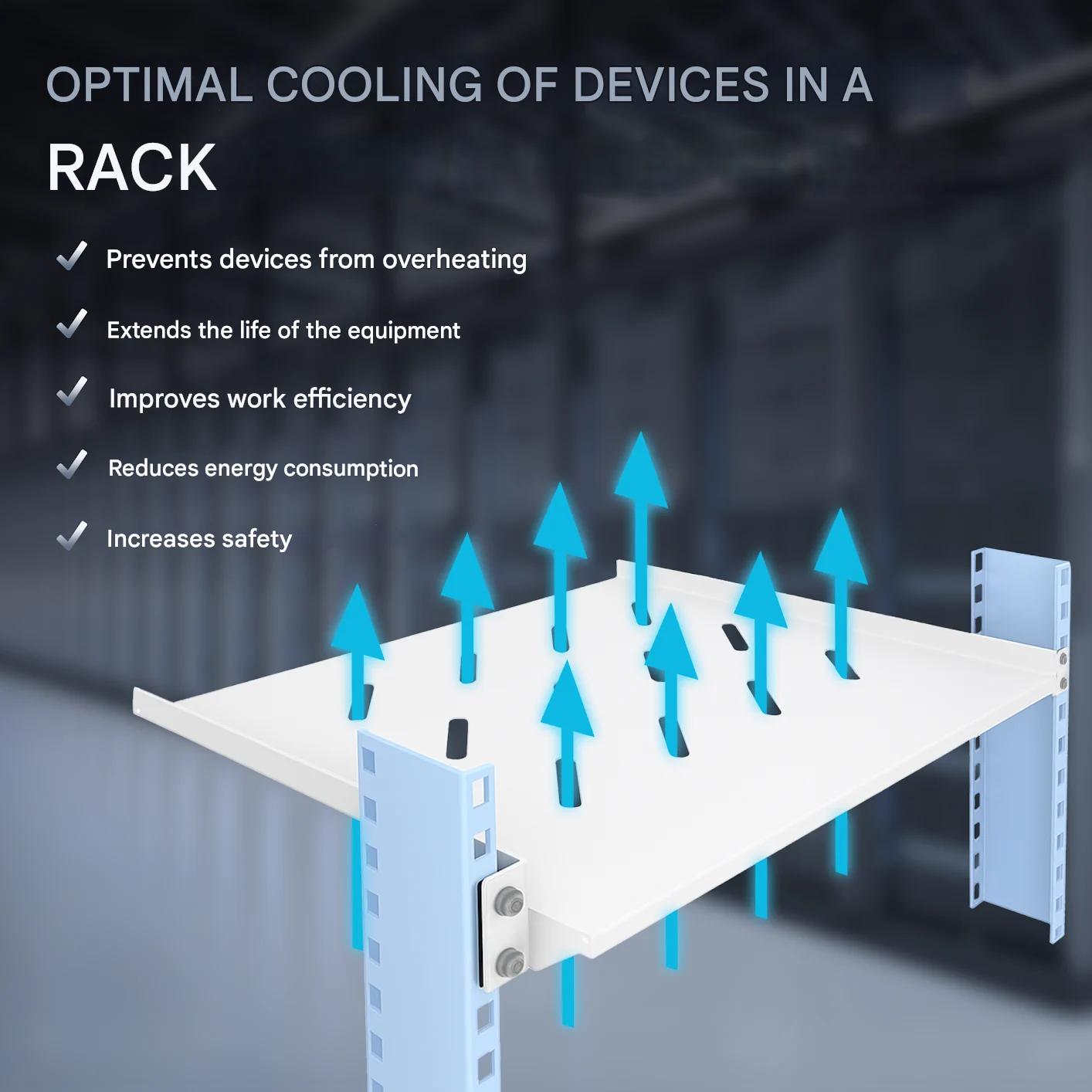 Extralink 1U 300mm Szara | Półka | 19
