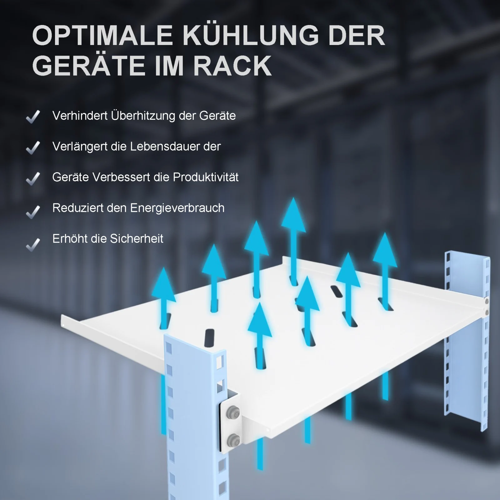 Extralink 1U 300mm grau | Fachboden | 19