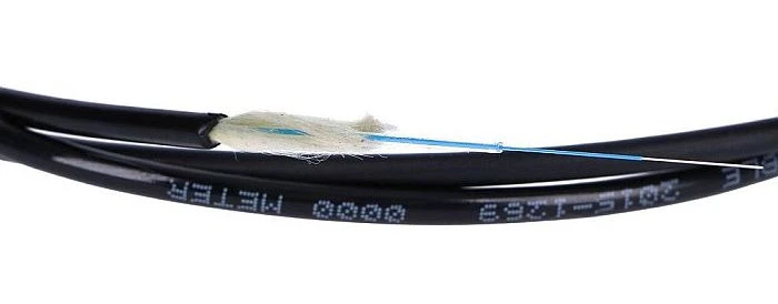 1F-EXTRALINK.jpg
