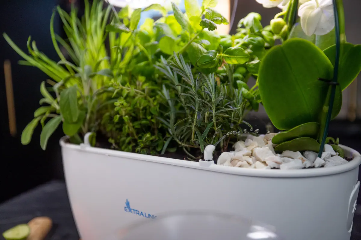 EXTRALINK SMART GARDEN batna24