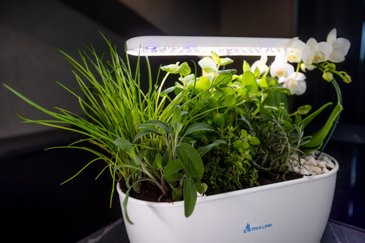 EXTRALINK SMART GARDEN batna24