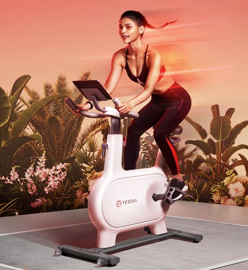 YESOUL SPINNING BIKE M2EV WHITE