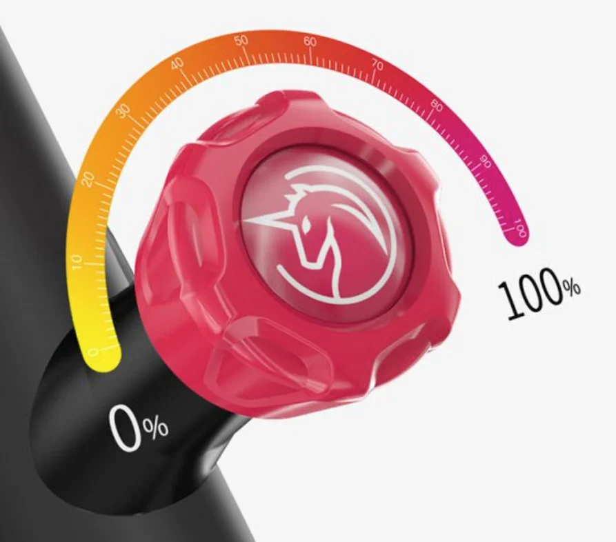 YESOUL SPINNING BIKE C1H BLACK