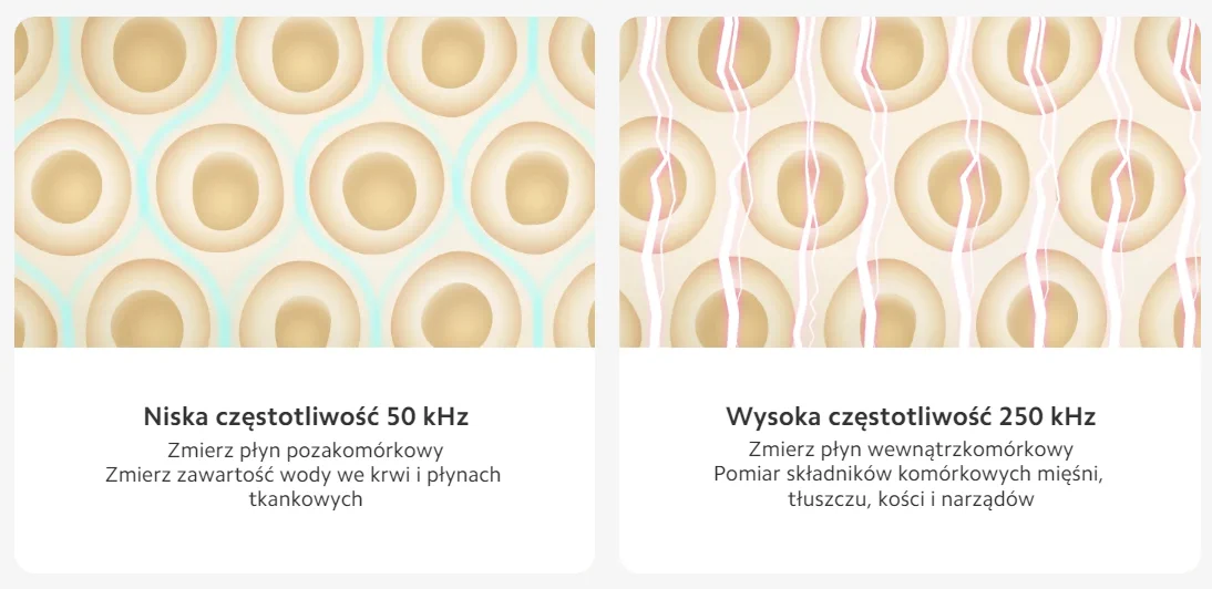 XIAOMI BODY COMPOSITION SCALE S400, MJTZC01YM