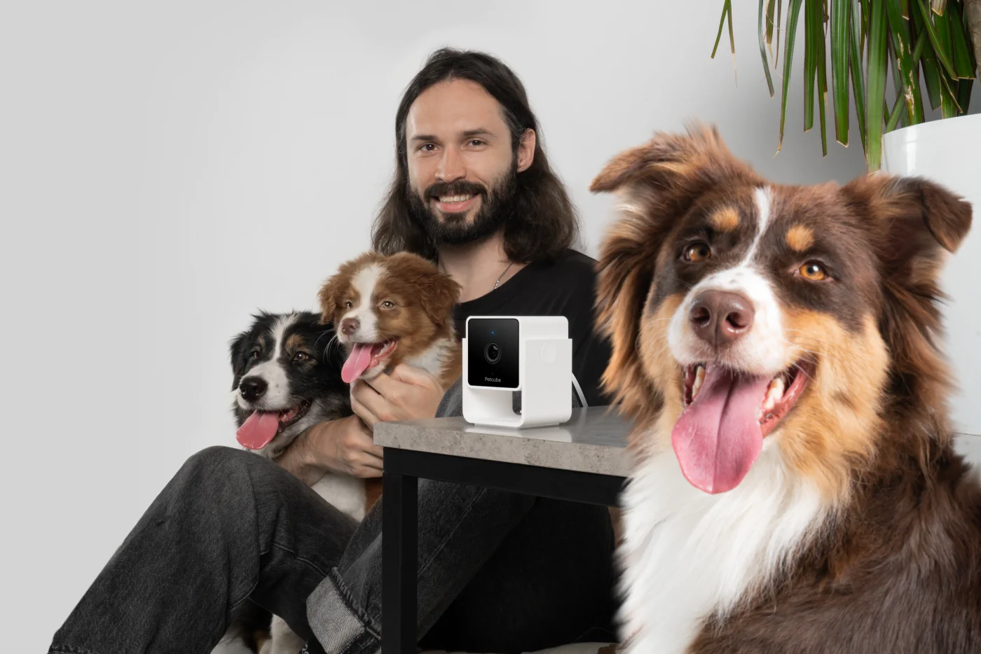 PETCUBE CAM INDOOR WI-FI TIER- UND SICHERHEITSKAMERA