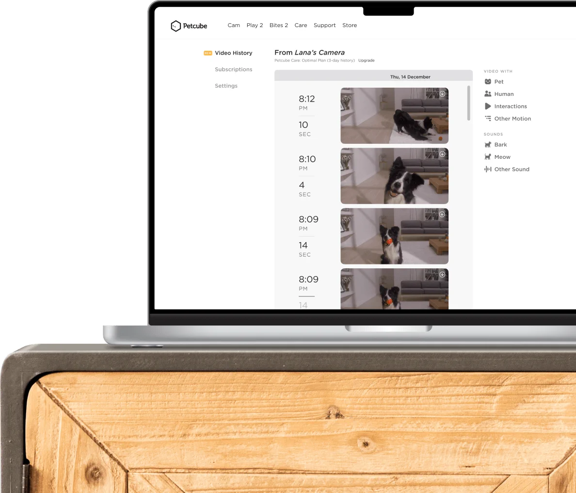 PETCUBE CAM INDOOR WI-FI TIER- UND SICHERHEITSKAMERA