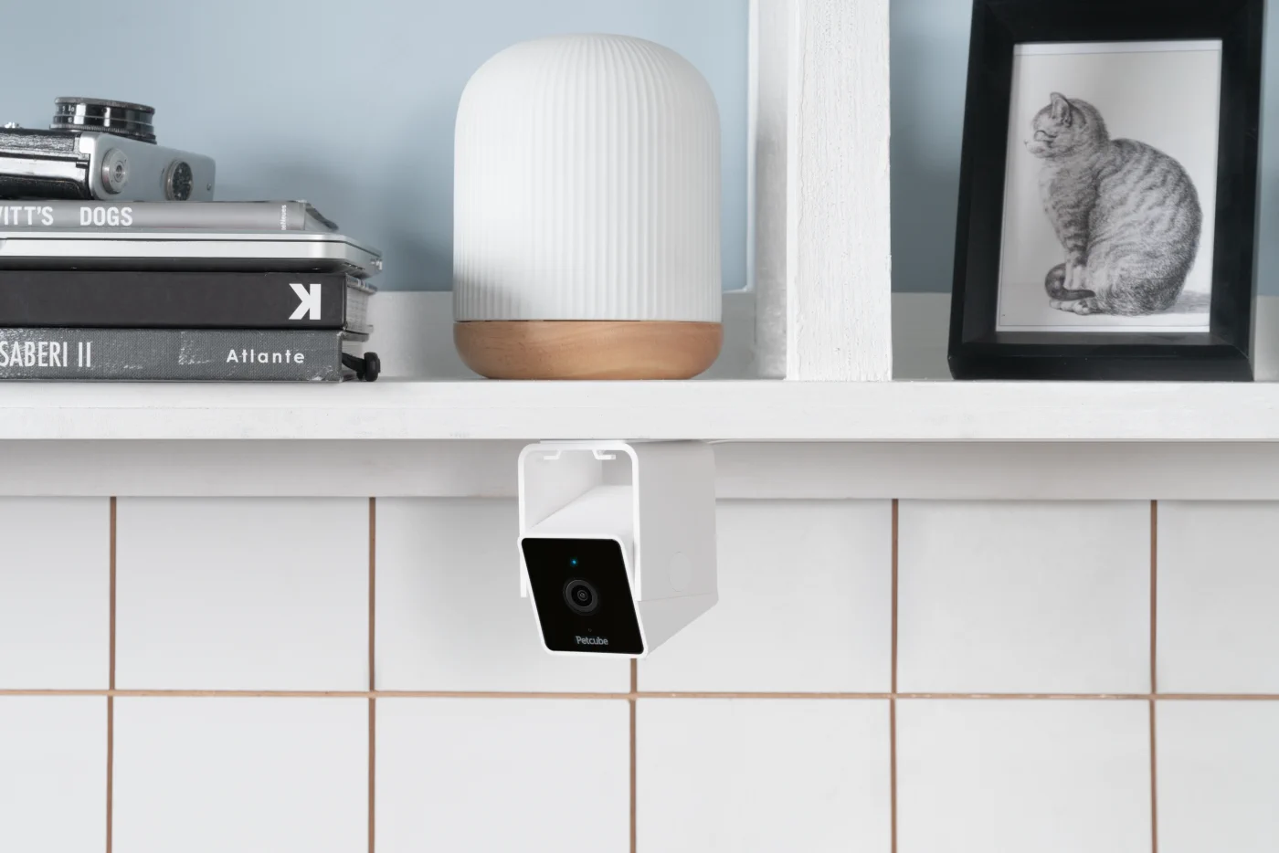 PETCUBE CAM INDOOR WI-FI TIER- UND SICHERHEITSKAMERA