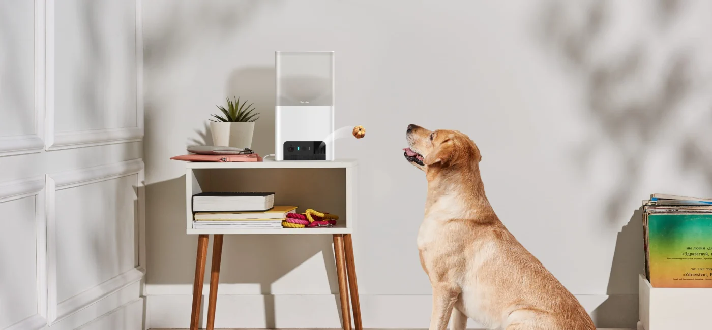 PETCUBE BITES 2 LITE CÂMARA DE MONITORIZAÇÃO INTERACTIVA WIFI PARA ANIMAIS DE ESTIMAÇÃO