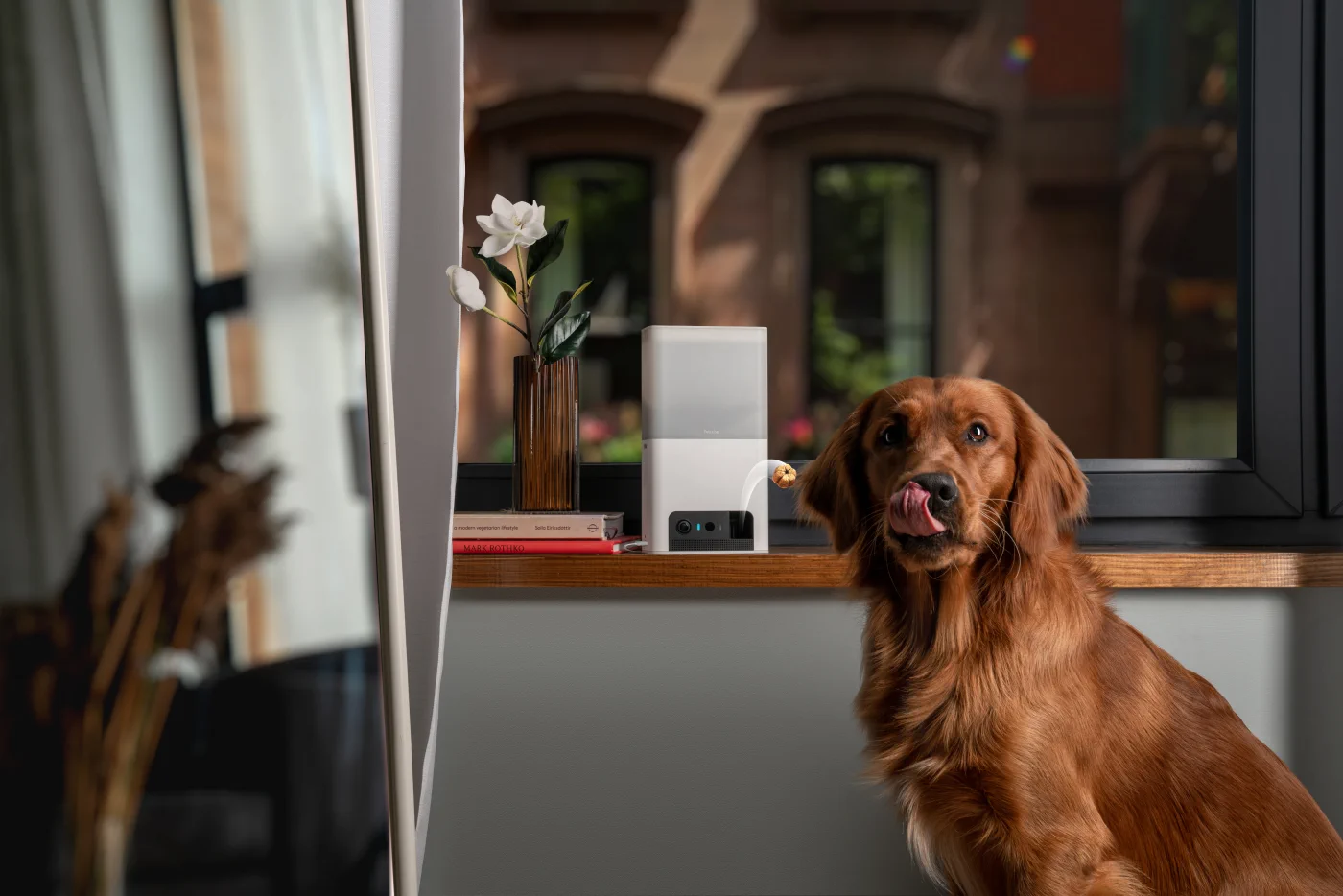 PETCUBE BITES 2 LITE CÂMARA DE MONITORIZAÇÃO INTERACTIVA WIFI PARA ANIMAIS DE ESTIMAÇÃO