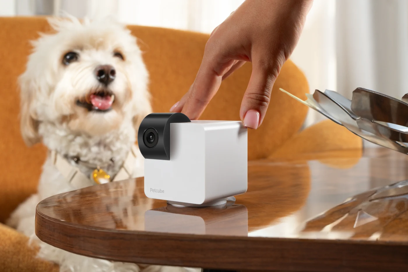 PETCUBE CAM 360 ULTIMATE ETKİLEŞİMLİ WIFI EV HAYVANLARI VE EV GÜVENLİĞİ PAN-TILT KAMERA
