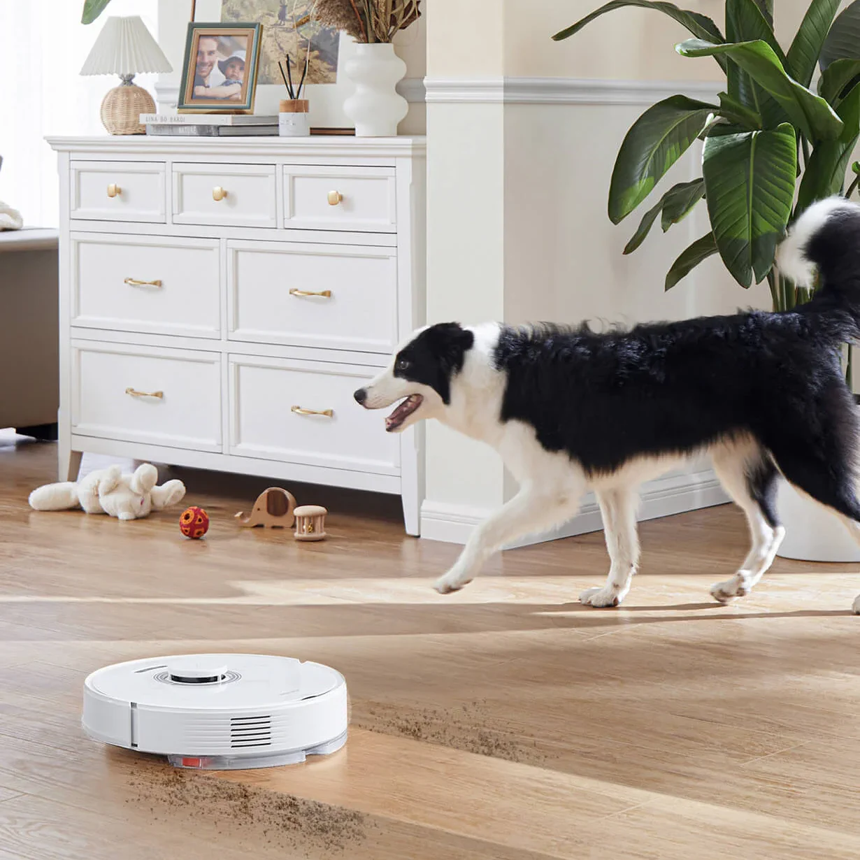 ASPIRADOR ROBÔ ROBOROCK Q7 MAX PRETO