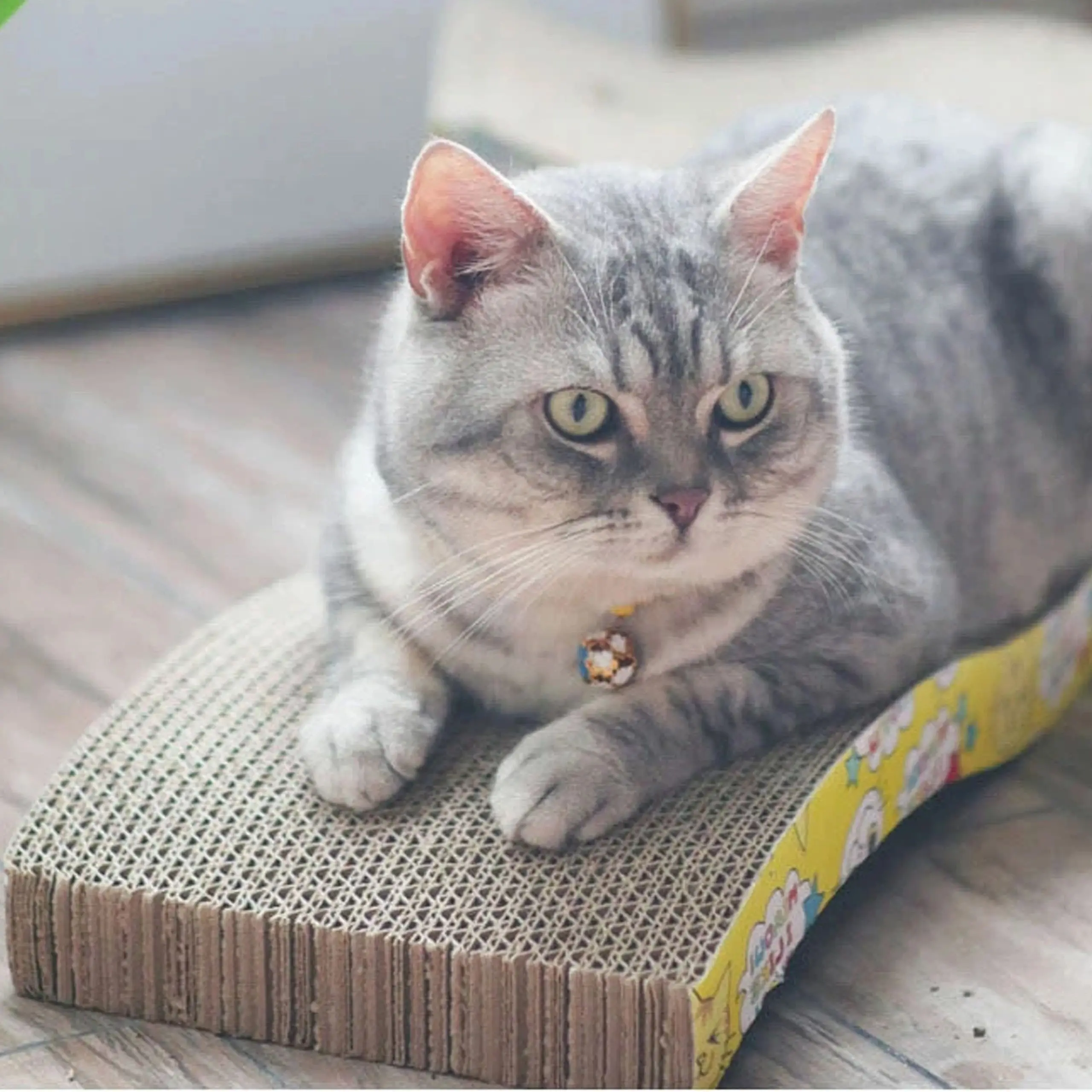 EXTRALINK PETS DRAPAK DLA KOTA KARTONOWY LEGOWISKO LEŻAK FALA MATA DO DRAPANIA EKO DUŻY PET-762