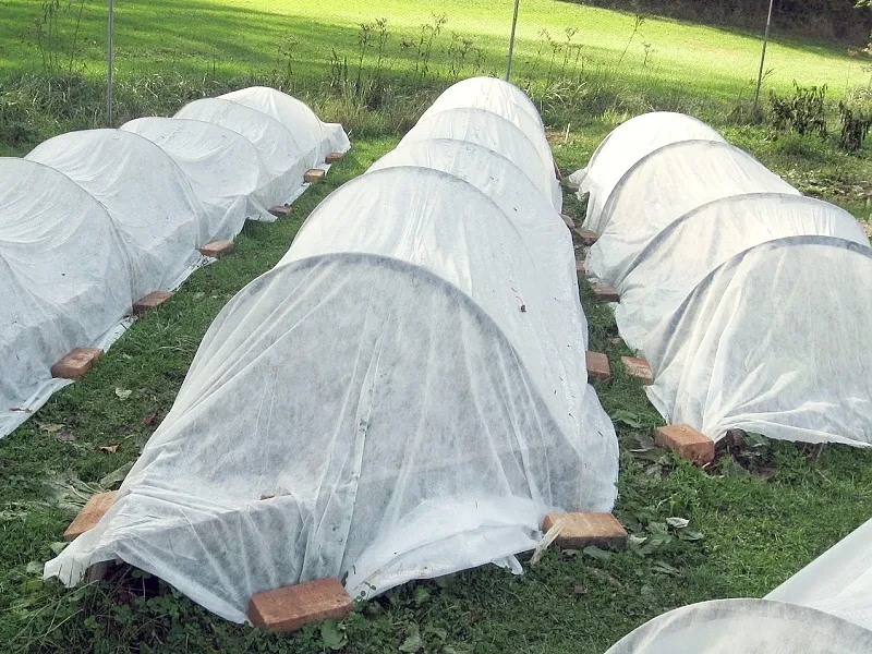 AGROTEXTILINA FORESTAL NEGRA ROPA DE INVIERNO 15x1m 70g CUBIERTA BLANCA - 1352