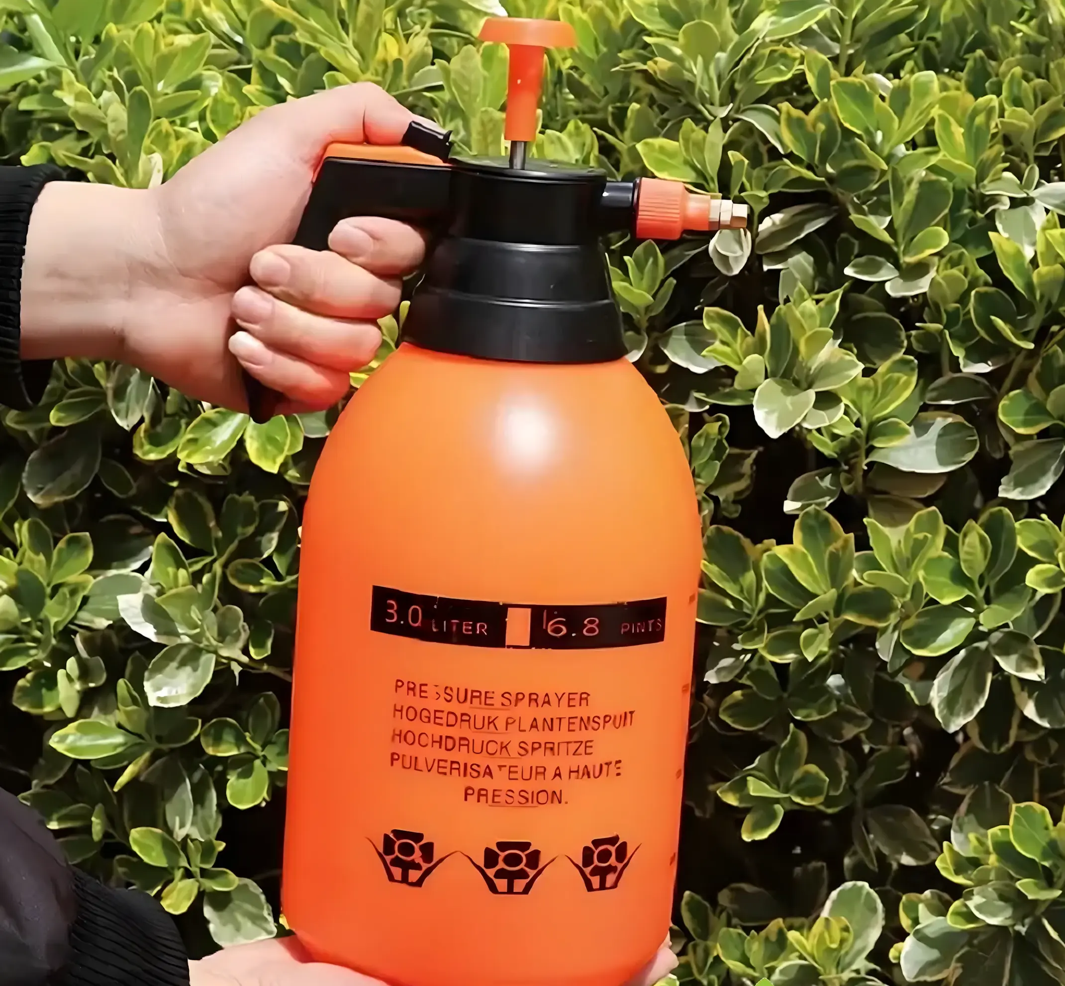 BLACK FOREST OPRYSKIWACZ SPRYSKIWACZ RĘCZNY CIŚNIENIOWY OGRODOWY DOMOWY 2L ZIELONY - 1596