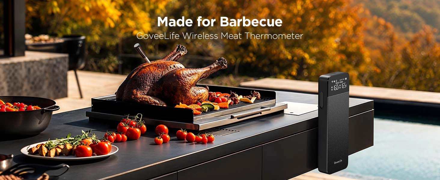 GOVEE B5192 SMART WIRELESS MEAT THERMOMETER (2-PROBE)
