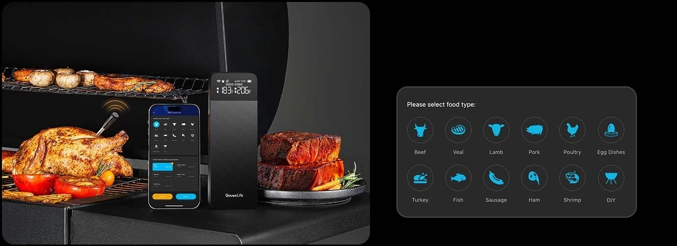 GOVEE B5192 SMART WIRELESS MEAT THERMOMETER (2-PROBE)