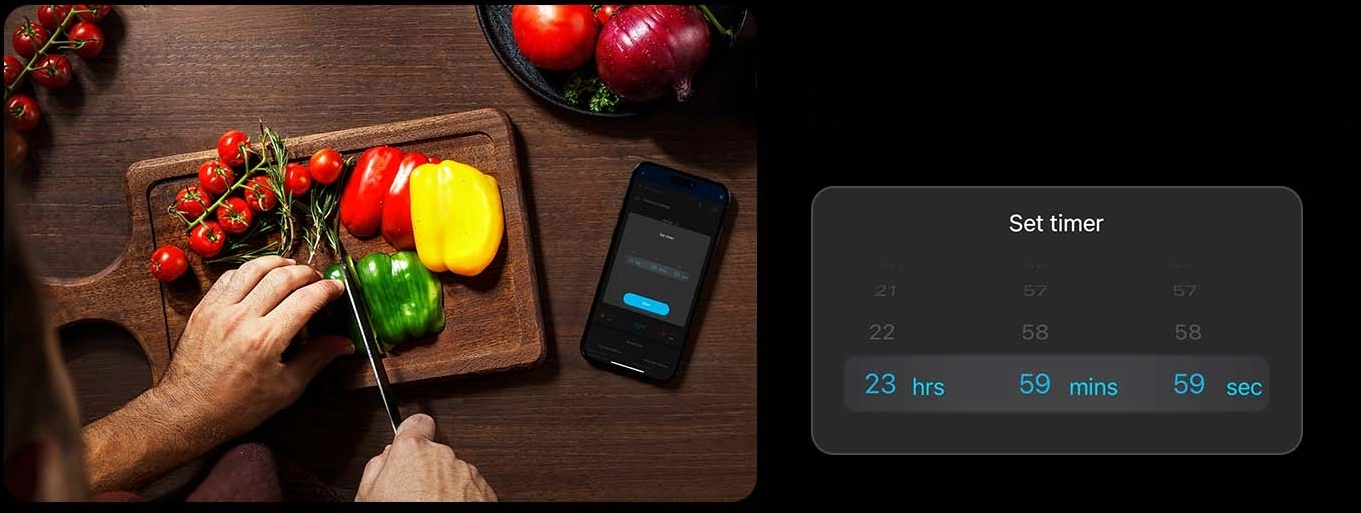 GOVEE B5192 SMART WIRELESS MEAT THERMOMETER (2-PROBE)