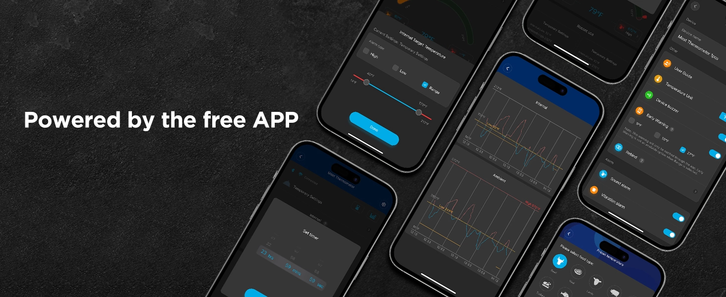 GOVEE B5192 SMART WIRELESS MEAT THERMOMETER (2-PROBE)