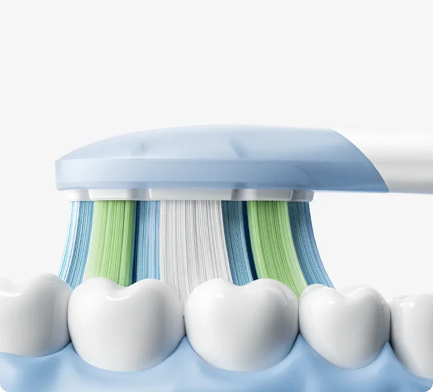Ingrandimento delle setole dello spazzolino che puliscono una fila di denti bianchi, adattandosi alla loro forma anatomica