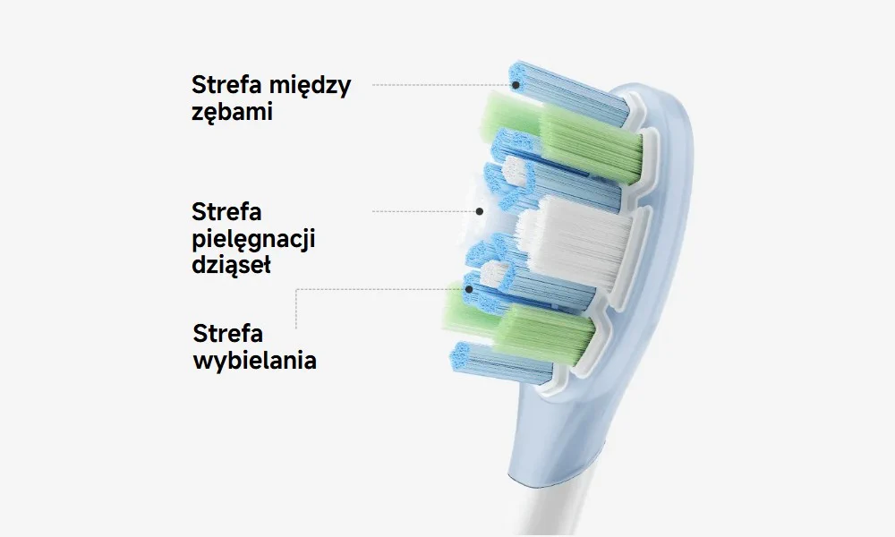 Testina dello spazzolino con diverse ciocche di setole evidenziate, responsabili per gli spazi interdentali e le gengive