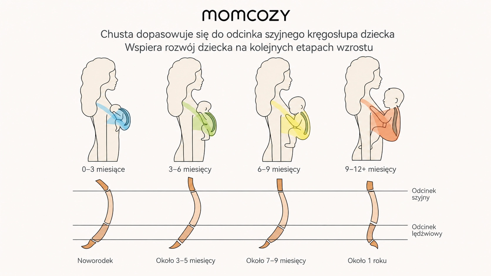 Compara&ccedil;&atilde;o gr&aacute;fica de quatro etapas do crescimento do beb&ecirc; e das mudan&ccedil;as no posicionamento da regi&atilde;o cervical e lombar.