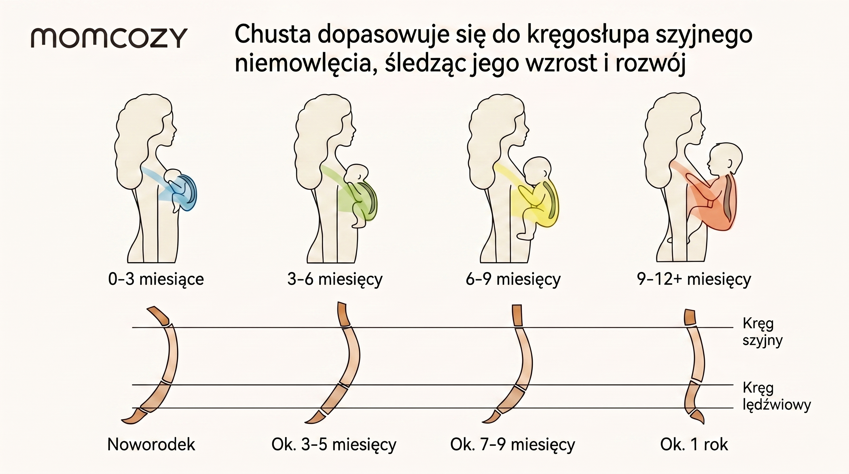 Tragetuch Momcozy M20SSCJ01 Baby Wrap Carrier Dark Grey. Infografik zur Entwicklung der Wirbelsäule des Kindes von 0 bis 12 Monaten.