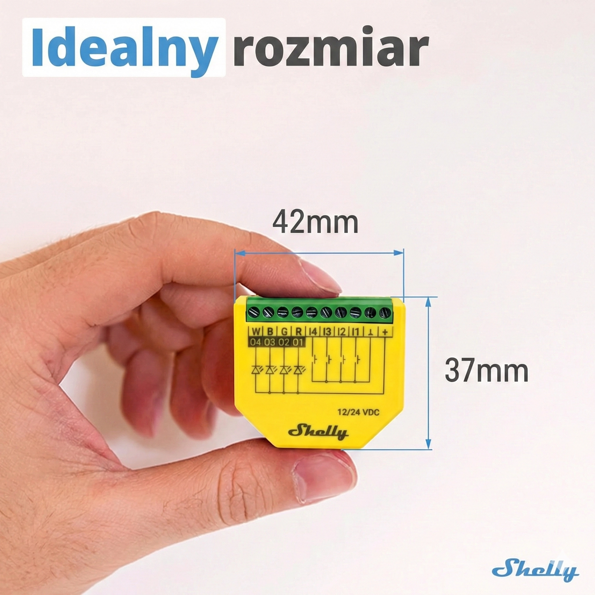 Osoba trzymająca żółty moduł Shelly, pokazująca jego idealny rozmiar 42 mm na 37 mm