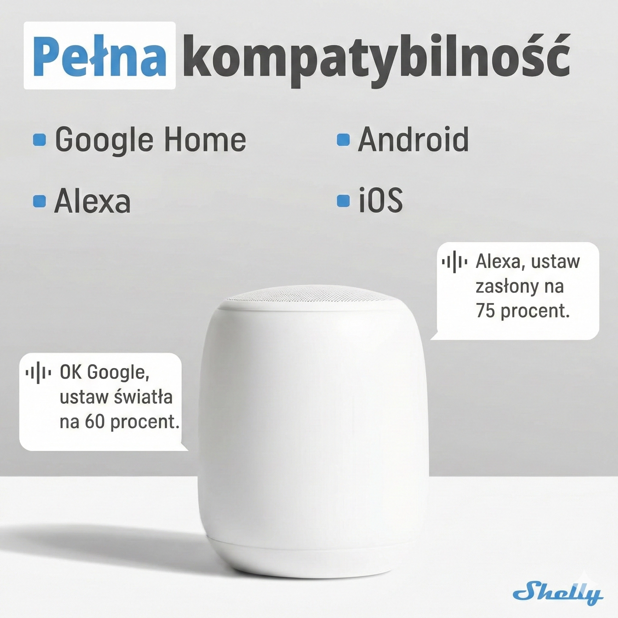 Głośnik smart, obok ikony głosowych komend Alexa i Google Home