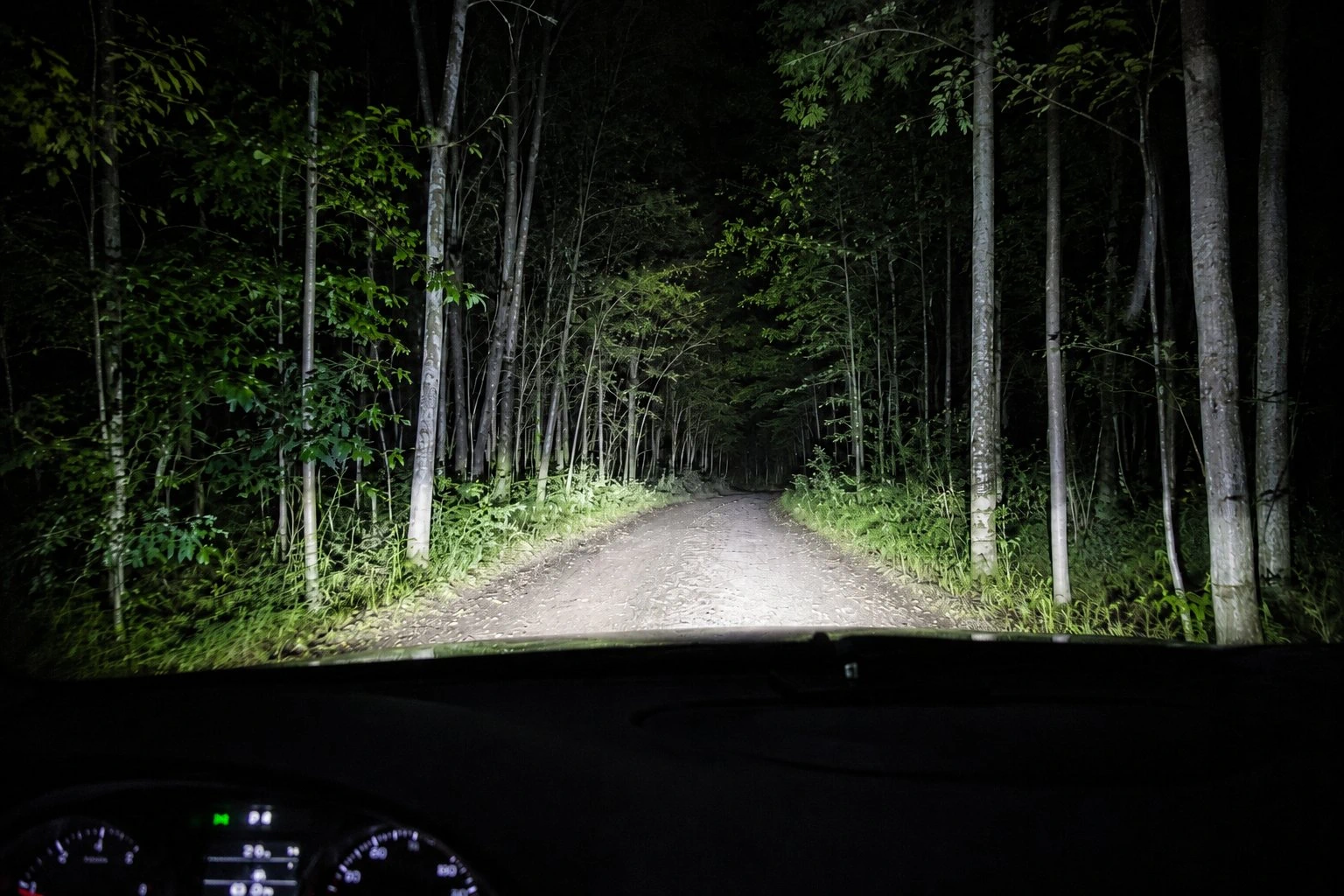 Widok z wnętrza samochodu na oświetloną przez reflektory leśną drogę nocą