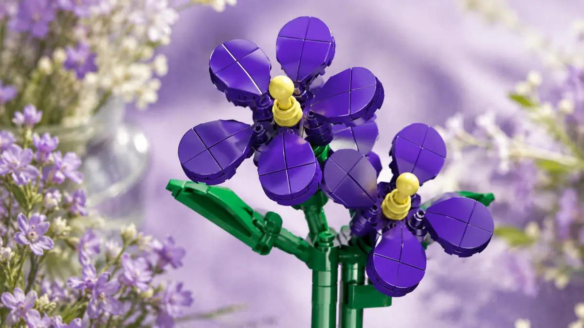 Close-up de duas flores violetas de blocos com centros amarelos e folhas verdes.