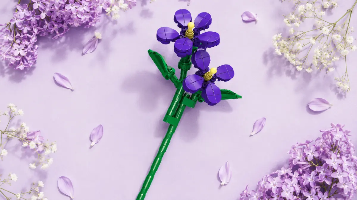 Flor violeta de blocos disposta sobre um fundo lil&aacute;s entre p&eacute;talas e ramos de flores.