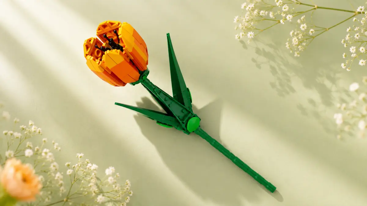 Flor laranja de blocos disposta na diagonal sobre um fundo verde-claro entre pequenas flores.