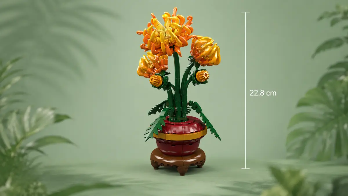 Flores de blocos em um vaso vermelho sobre fundo verde com uma linha vertical indicando a altura.